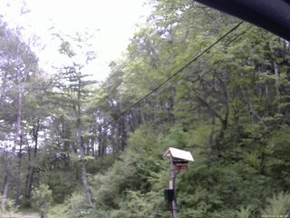 長野県菅平高原 ゆたか山荘 温度計 2026/05/24 11:45
