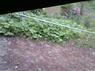 長野県菅平高原 ゆたか山荘 駐車場 2026/05/24 06:30