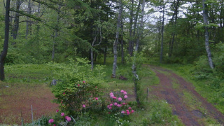 長野県菅平高原 ゆたか山荘 坂上 2026/05/24 05:00
