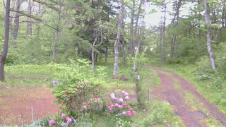 長野県菅平高原 ゆたか山荘 坂上 2026/05/24 05:30