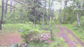 長野県菅平高原 ゆたか山荘 坂上 2026/05/24 06:00
