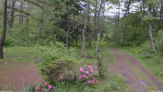 長野県菅平高原 ゆたか山荘 坂上 2026/05/24 08:15