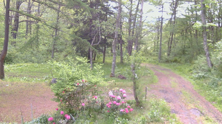 長野県菅平高原 ゆたか山荘 坂上 2026/05/24 09:00