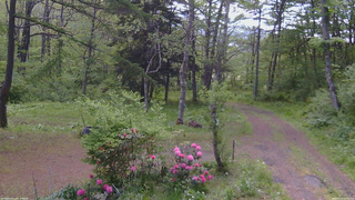 長野県菅平高原 ゆたか山荘 坂上 2026/05/24 09:15
