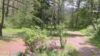 長野県菅平高原 ゆたか山荘 坂上 2026/05/24 11:30
