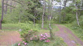 長野県菅平高原 ゆたか山荘 坂上 2026/05/24 13:30