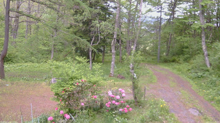 長野県菅平高原 ゆたか山荘 坂上 2026/05/24 13:45