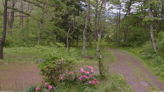 長野県菅平高原 ゆたか山荘 坂上 2026/05/24 14:30
