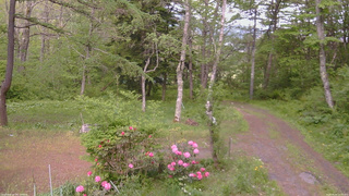 長野県菅平高原 ゆたか山荘 坂上 2026/05/24 15:15