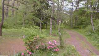 長野県菅平高原 ゆたか山荘 坂上 2026/05/24 15:30