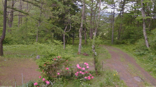 長野県菅平高原 ゆたか山荘 坂上 2026/05/24 15:45