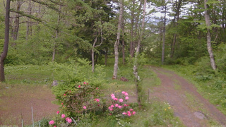 長野県菅平高原 ゆたか山荘 坂上 2026/05/24 16:30