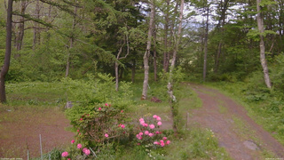 長野県菅平高原 ゆたか山荘 坂上 2026/05/24 17:00