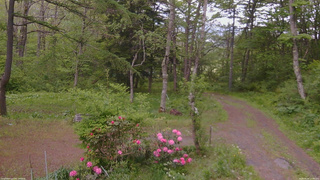 長野県菅平高原 ゆたか山荘 坂上 2026/05/24 17:30
