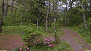 長野県菅平高原 ゆたか山荘 坂上 2026/05/24 18:00