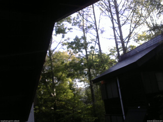 長野県菅平高原 ゆたか山荘 北側 2026/05/25 06:00