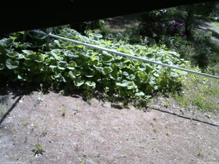 長野県菅平高原 ゆたか山荘 駐車場 2026/05/25 08:30