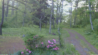 長野県菅平高原 ゆたか山荘 坂上 2026/05/25 05:00