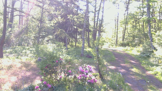 長野県菅平高原 ゆたか山荘 坂上 2026/05/25 06:15