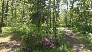長野県菅平高原 ゆたか山荘 坂上 2026/05/25 08:00