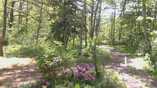 長野県菅平高原 ゆたか山荘 坂上 2026/05/25 08:30
