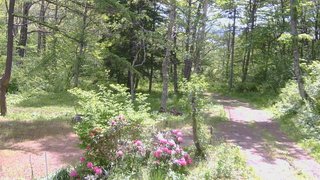 長野県菅平高原 ゆたか山荘 坂上 2026/05/25 09:45