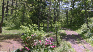 長野県菅平高原 ゆたか山荘 坂上 2026/05/25 10:00