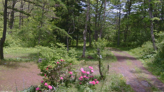 長野県菅平高原 ゆたか山荘 坂上 2026/05/25 11:30