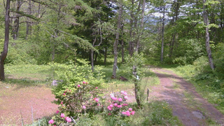 長野県菅平高原 ゆたか山荘 坂上 2026/05/25 12:30