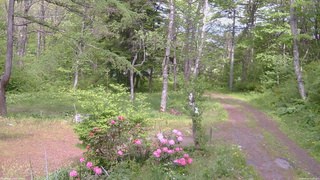 長野県菅平高原 ゆたか山荘 坂上 2026/05/25 14:00