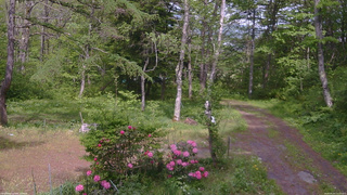 長野県菅平高原 ゆたか山荘 坂上 2026/05/25 14:15