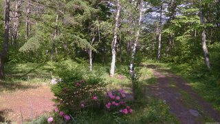 長野県菅平高原 ゆたか山荘 坂上 2026/05/25 14:45