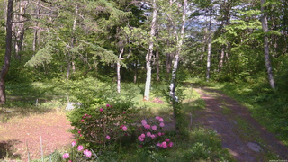 長野県菅平高原 ゆたか山荘 坂上 2026/05/25 15:00