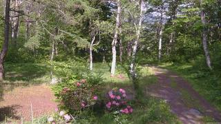 長野県菅平高原 ゆたか山荘 坂上 2026/05/25 15:15