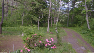 長野県菅平高原 ゆたか山荘 坂上 2026/05/25 15:30