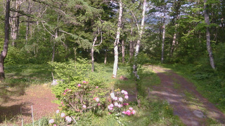 長野県菅平高原 ゆたか山荘 坂上 2026/05/25 15:45