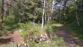 長野県菅平高原 ゆたか山荘 坂上 2026/05/25 16:00