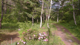 長野県菅平高原 ゆたか山荘 坂上 2026/05/25 16:30