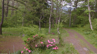 長野県菅平高原 ゆたか山荘 坂上 2026/05/25 17:00
