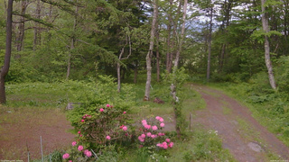 長野県菅平高原 ゆたか山荘 坂上 2026/05/25 17:15
