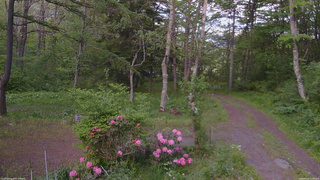 長野県菅平高原 ゆたか山荘 坂上 2026/05/25 17:30