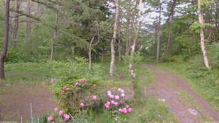 長野県菅平高原 ゆたか山荘 坂上 2026/05/25 18:15