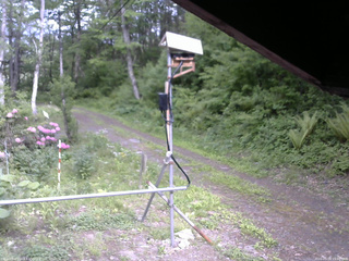 長野県菅平高原 ゆたか山荘 南側 2026/05/26 15:30