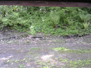 長野県菅平高原 ゆたか山荘 東側(坂下) 2026/05/26 11:45