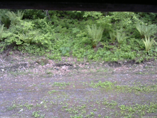 長野県菅平高原 ゆたか山荘 東側(坂下) 2026/05/26 17:30