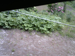 長野県菅平高原 ゆたか山荘 駐車場 2026/05/26 09:45