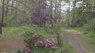 長野県菅平高原 ゆたか山荘 坂上 2026/05/26 07:15