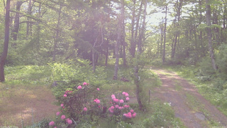 長野県菅平高原 ゆたか山荘 坂上 2026/05/26 07:30