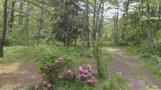 長野県菅平高原 ゆたか山荘 坂上 2026/05/26 08:00