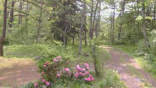 長野県菅平高原 ゆたか山荘 坂上 2026/05/26 08:30